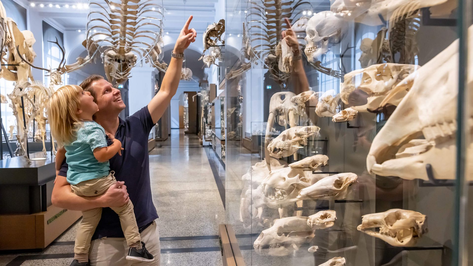 Vater und Kind im Landesmuseum vor Skeletten
