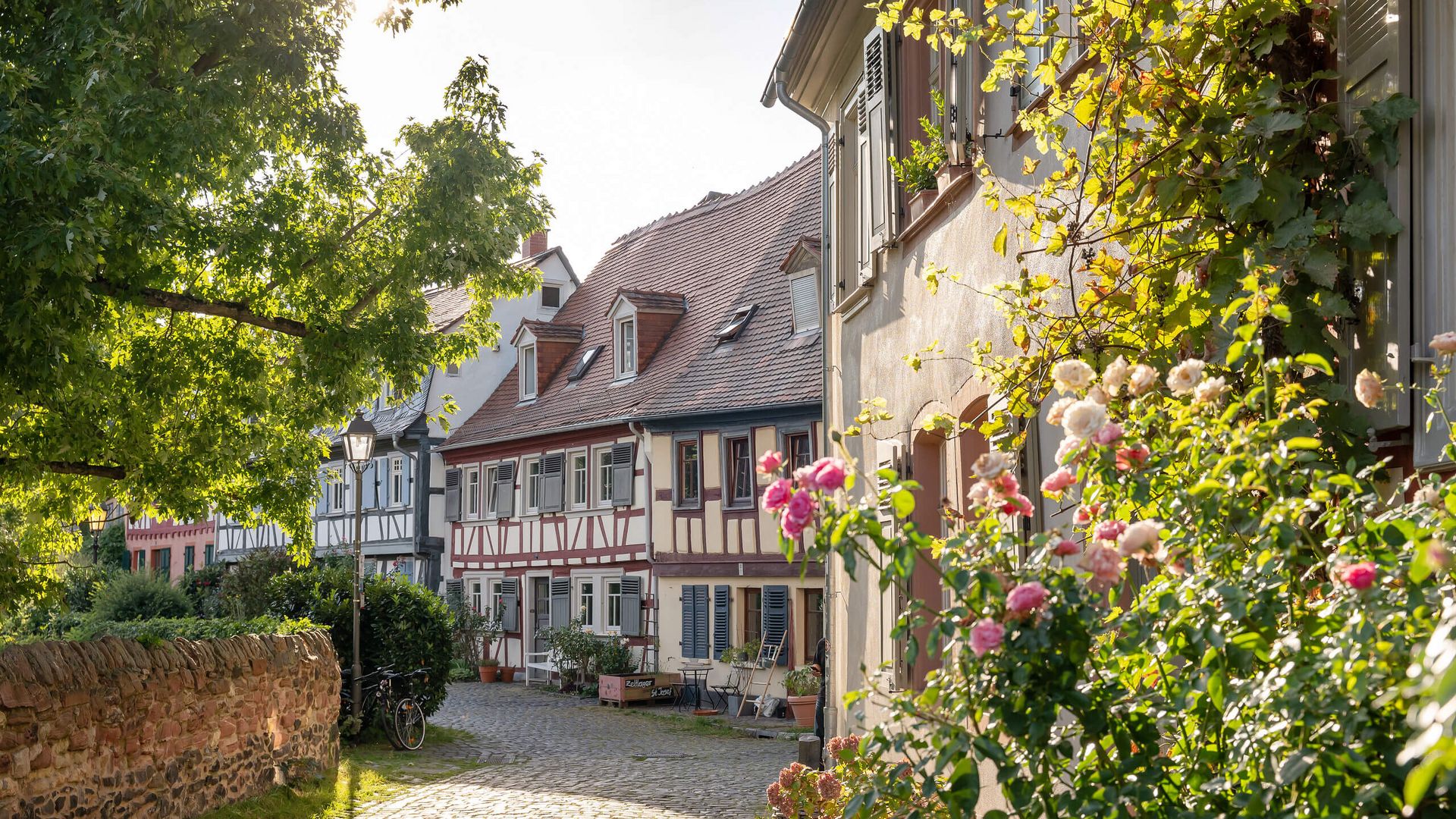 Fachwerkhäuser und eine Gasse in der Altstadt von Frankfurt-Höchst.