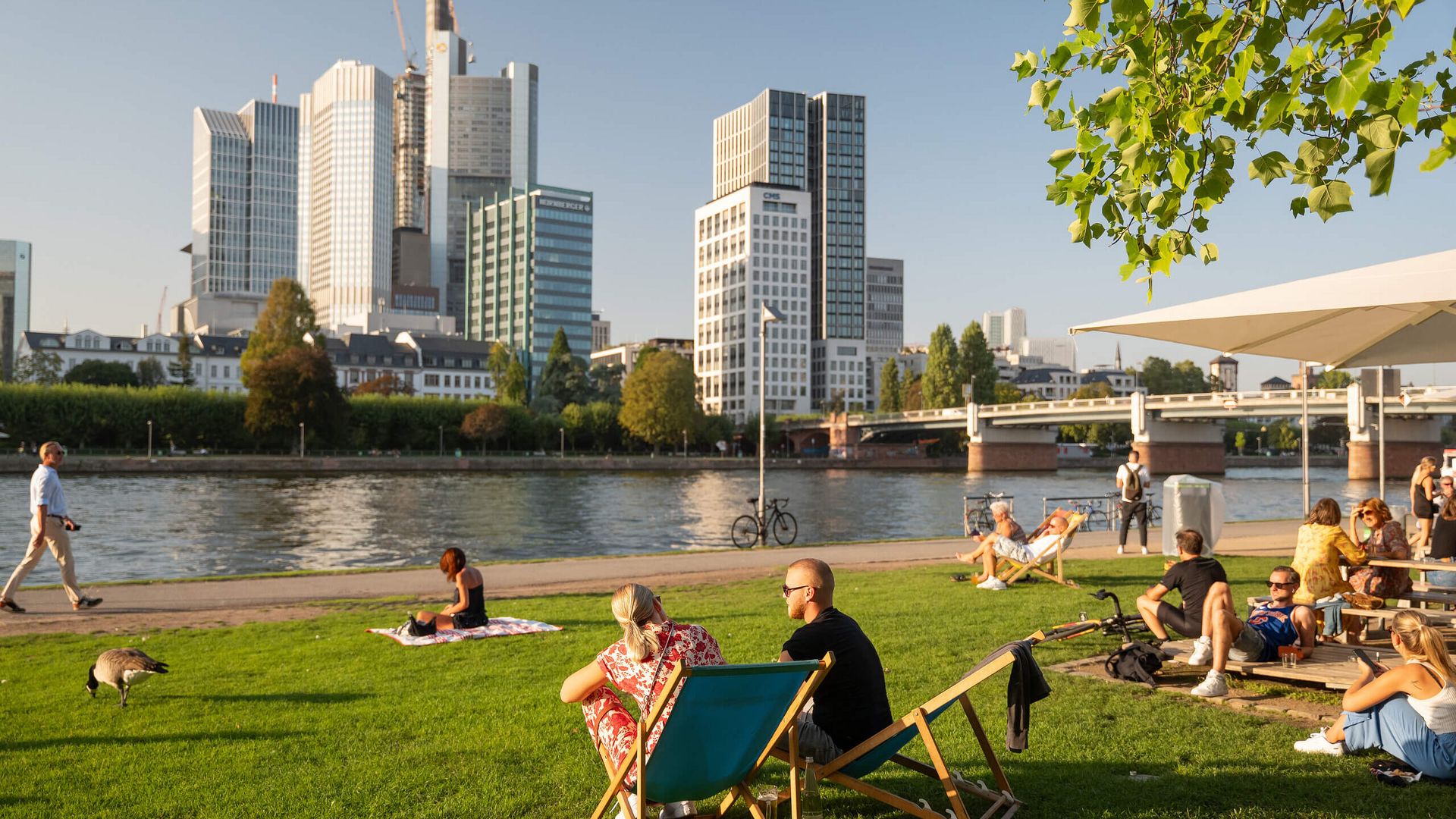 Menschen sitzen auf Liegestühlen am Mainufer gegenüber dem Westhafen Tower.