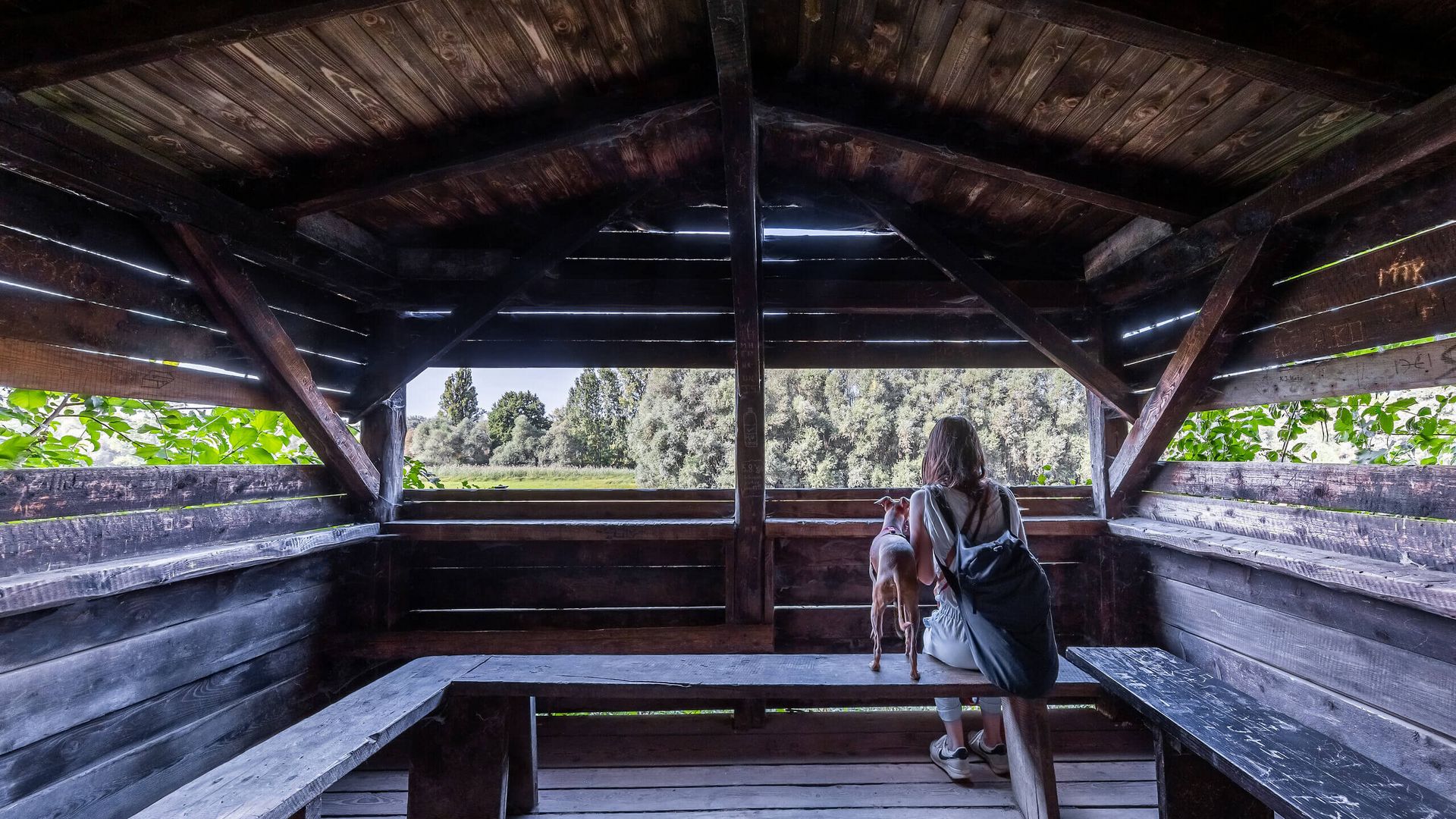 Eine Person mit Hund blickt aus einer hölzernen Beobachtungshütte auf die Natur im Naturschutzgebiet Kühkopf.
