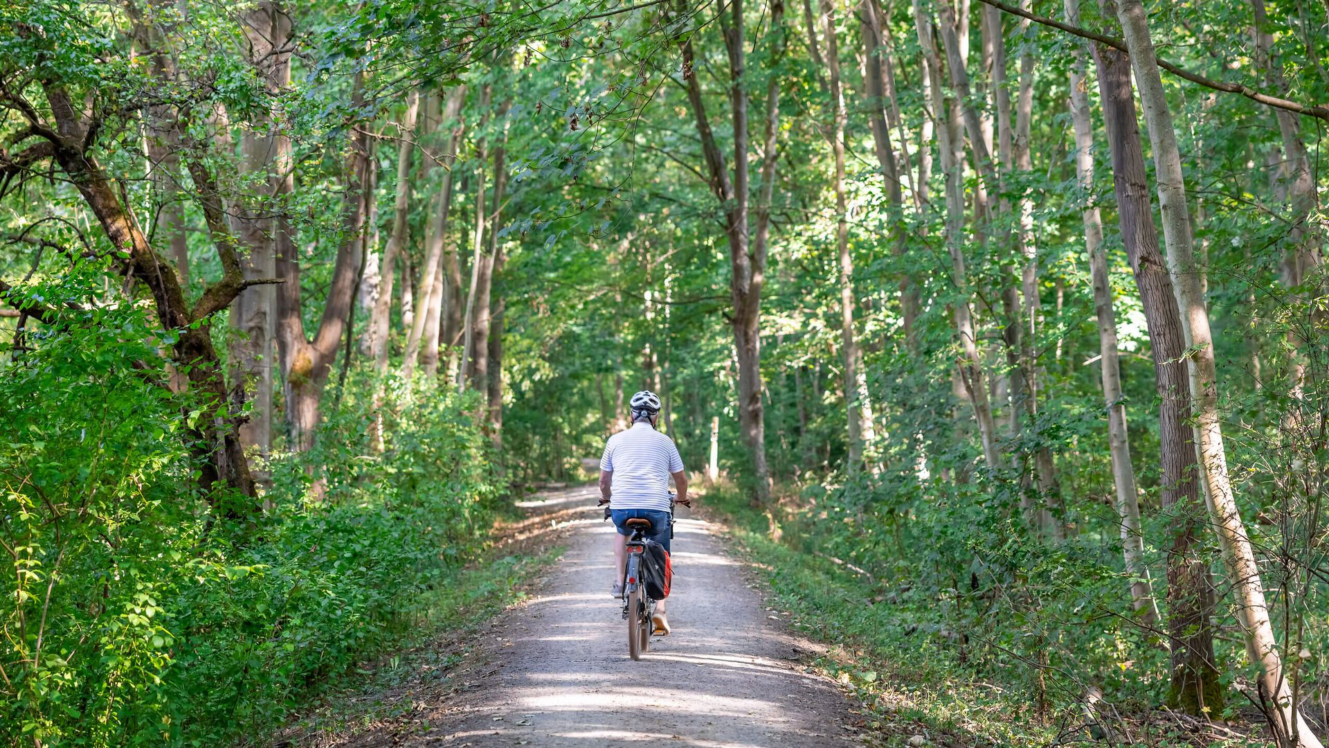 Radfahrer auf Waldweg im Naturschutzgebiet Kühkopf